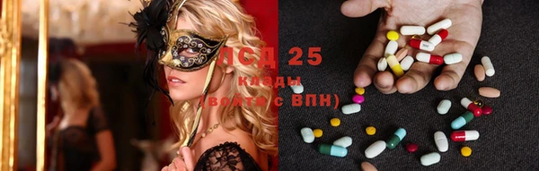 прущая мука Арсеньев