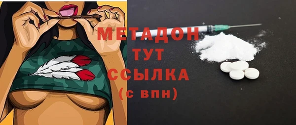 PSILOCYBIN Аркадак