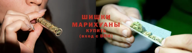 PSILOCYBIN Аркадак
