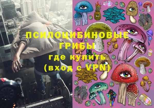 прущая мука Арсеньев