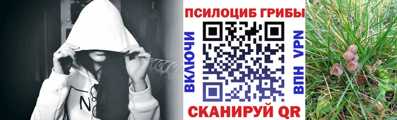 Галлюциногенные грибы мицелий  Бокситогорск 